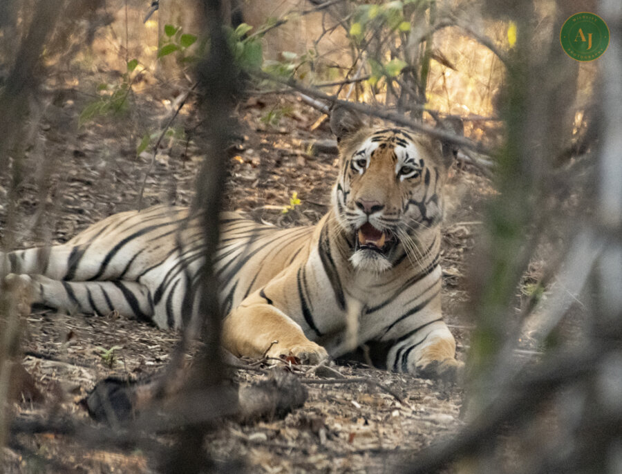 Dudhwa National Park